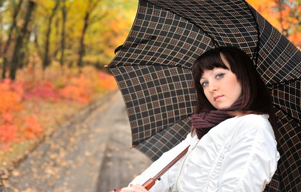 Dziewczyna w jesień drewna z parasolem. — Zdjęcie stockowe