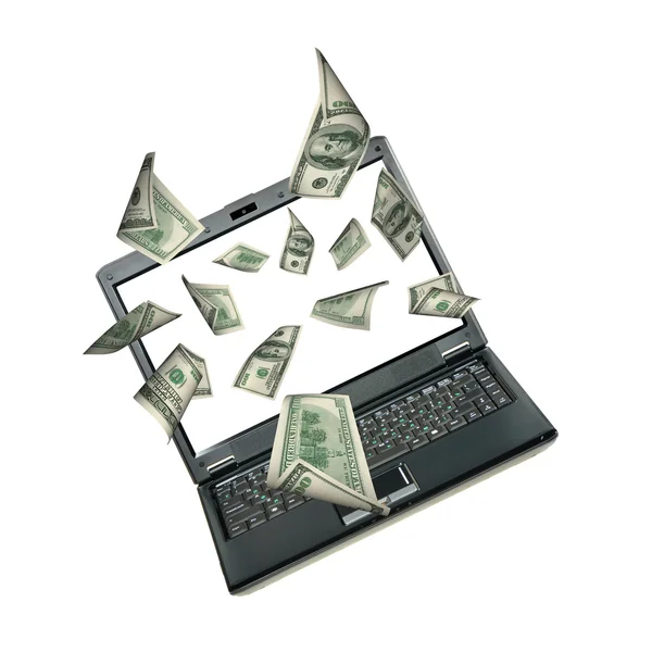 Laptop ve dolar — Stok fotoğraf