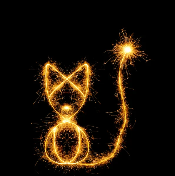 O gato de fogos de bengala — Fotografia de Stock