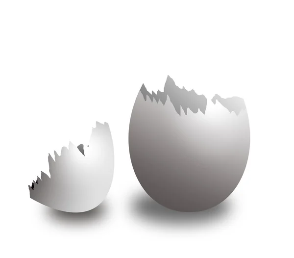 Guscio d'uovo — Foto Stock