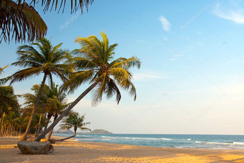 Exotic, lonely beach with palm trees and ocean