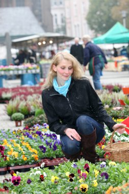 Housewife buys flowers viola or pansy on the market. clipart