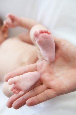 Two baby feet are held by a hand-Close-up clipart