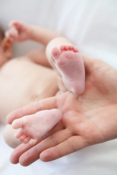 つの赤ちゃんの足は 手クローズ アップで開催されます — ストック写真