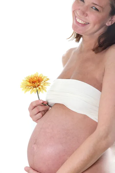 Glückliche Schwangere Frau Von Der Seite Mit Blume Der Hand Stockbild