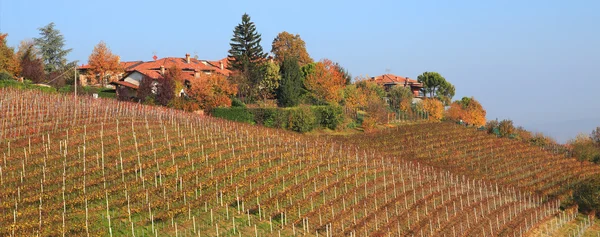全景视图上的小村庄和意大利皮埃蒙特的葡萄园 — 图库照片