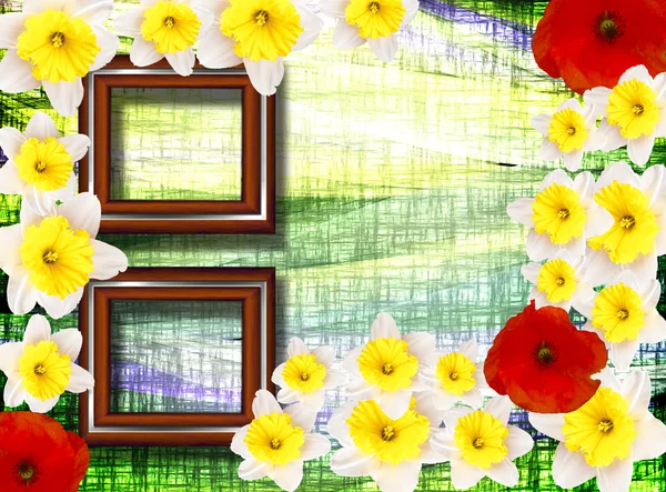 Wooden frames with flowers — Stock Photo, Image
