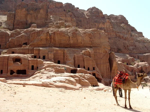 Petra — Fotografie, imagine de stoc
