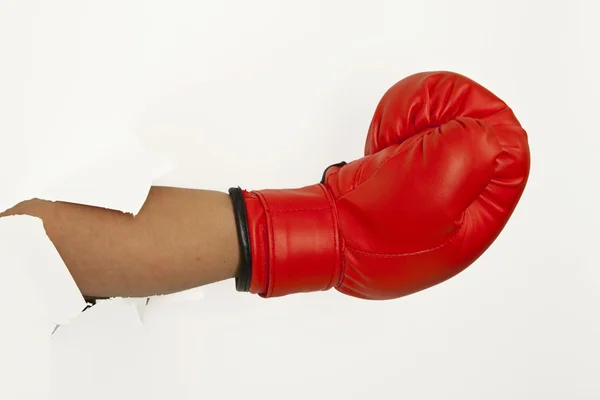 Box glove — Stock Photo, Image