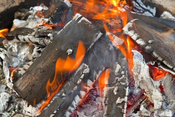 stock image Campfire