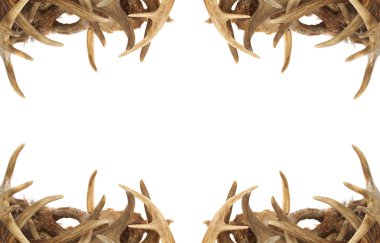 Deer Antler Border clipart
