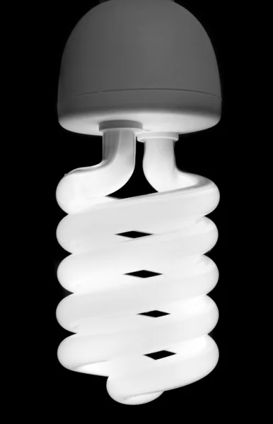 stock image Powered on Compact Florescent Bulb