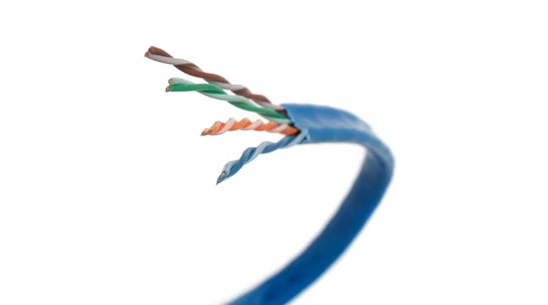 Category 6 Network Cable Curved — Stock Photo, Image