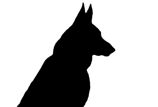 German Shepherd Silhouette — Stock Photo, Image