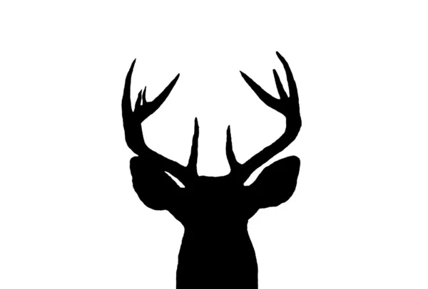 Whitetail jelenie buck sylwetka — Zdjęcie stockowe