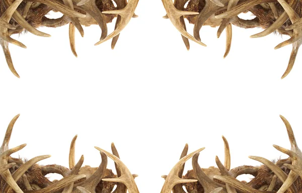 Deer Antler Border — Stock Photo, Image