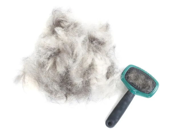 犬グルーミング ブラシと髪 — ストック写真