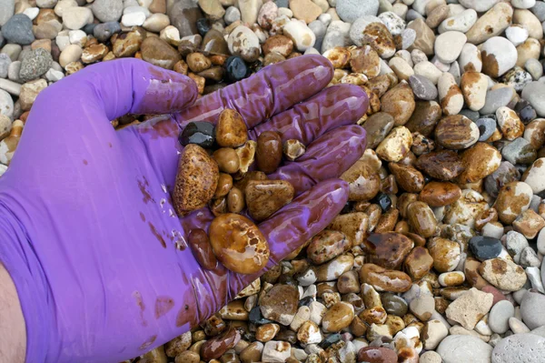 stock image Oil Cleanup Worker Holding Rocks in Hand