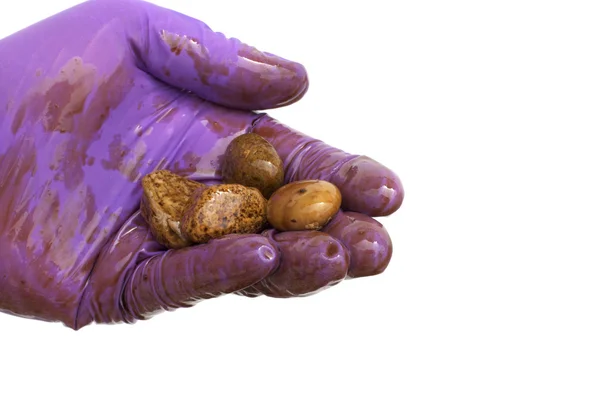 Trabalhador de limpeza de óleo segurando rochas na mão isolado — Fotografia de Stock
