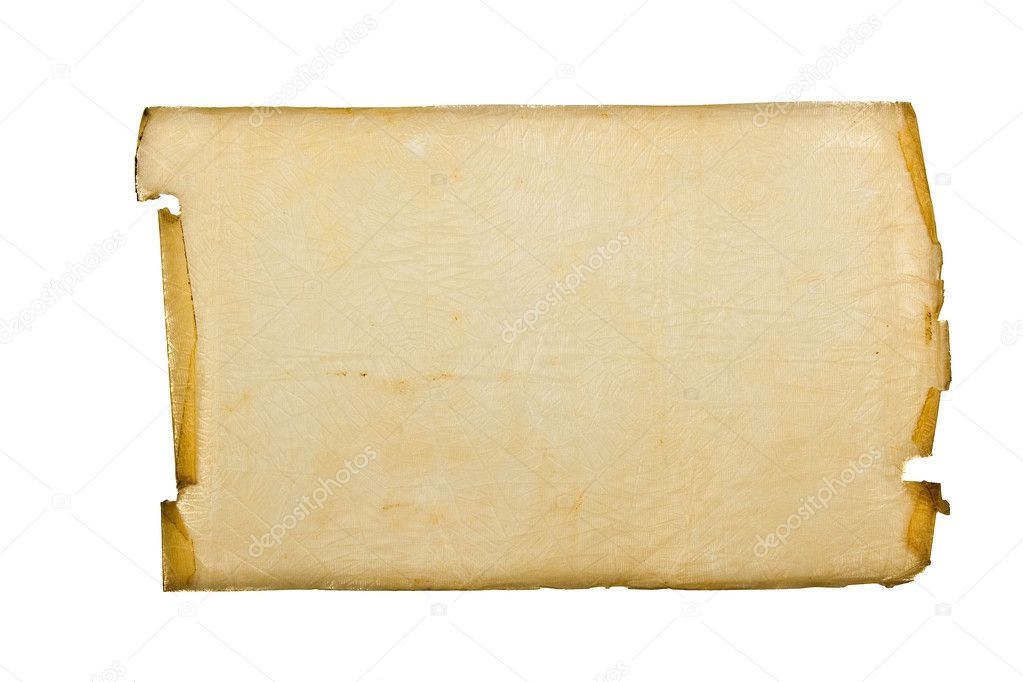 Sheet of old parchment