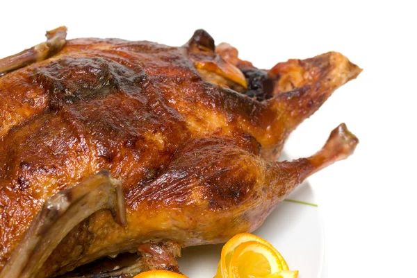 stock image Roast duck on a white background