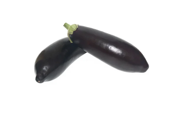 Eggplant Species Perennial Herbaceous Plants — Stock Photo, Image