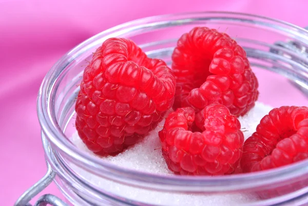 Some organic fresh raspberries in a sugar pot — Stock Photo, Image