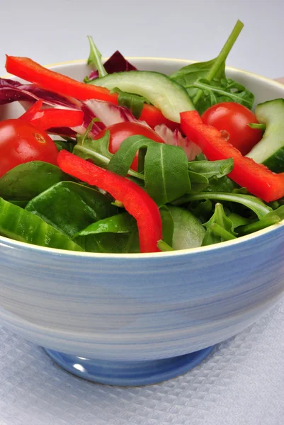 Fresh organic summer salad in a blue bowl — Stock Photo, Image