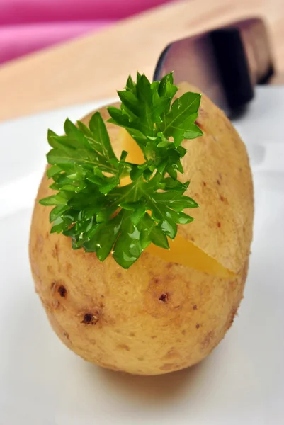 Boiled organic potato with parsley and a knife — Stock Photo, Image