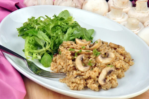 Bio-Risotto-Reis mit Pilzen und Salat — Stockfoto