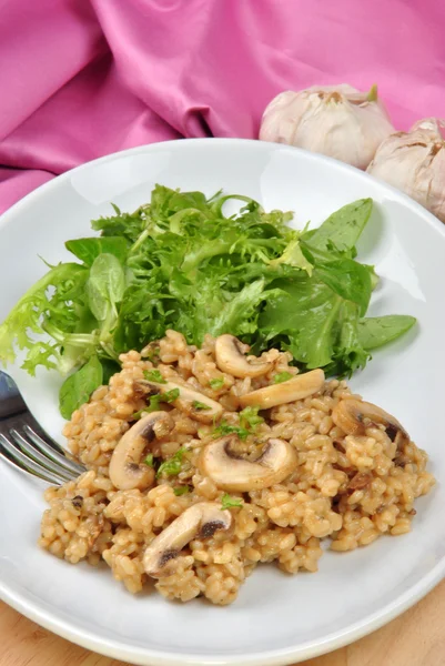 Organic risotto rice with mushroom and salad — Stock Photo, Image