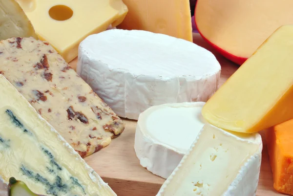Plateau de fromage avec du fromage frais bio — Photo
