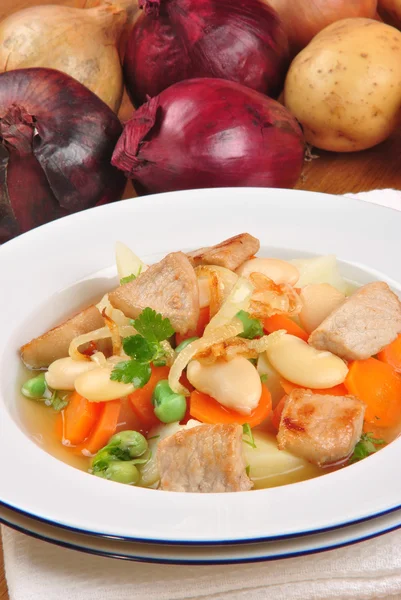 Rumah yang lezat membuat sup sayuran dengan daging babi — Stok Foto