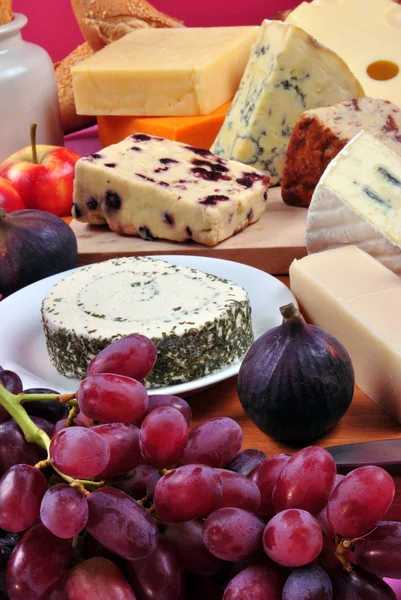 Kaasschotel met sommige organische verse kaas — Stockfoto