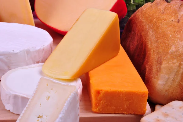 Сырные тарелки с органическим свежим сыром — стоковое фото