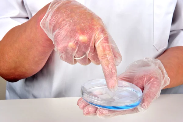 Modrá tekutina a Petriho misky v laboratoři — Stock fotografie