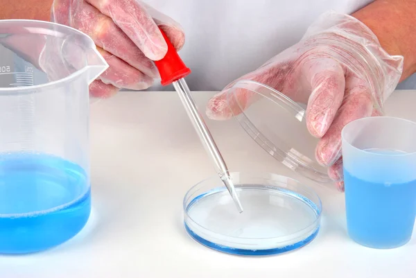 Piatto blu liquido e Petri in laboratorio — Foto Stock