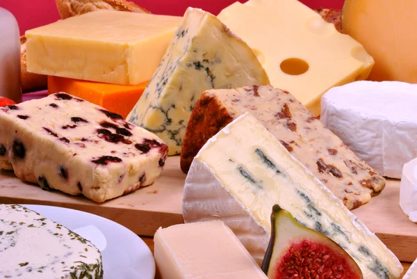 Plateau de fromage avec du fromage frais bio — Photo