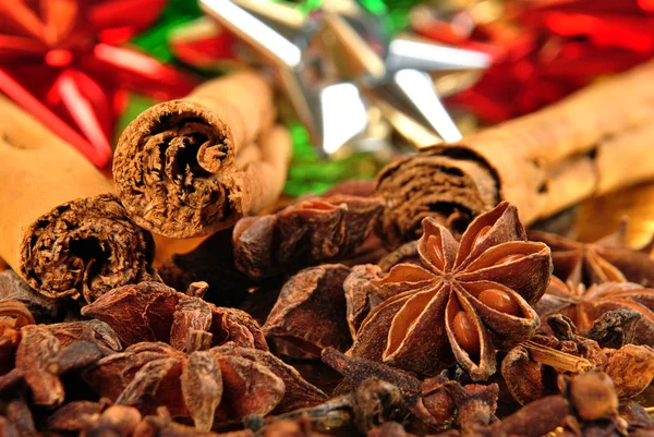 Algunas especias secas orgánicas para la temporada de Navidad — Foto de Stock