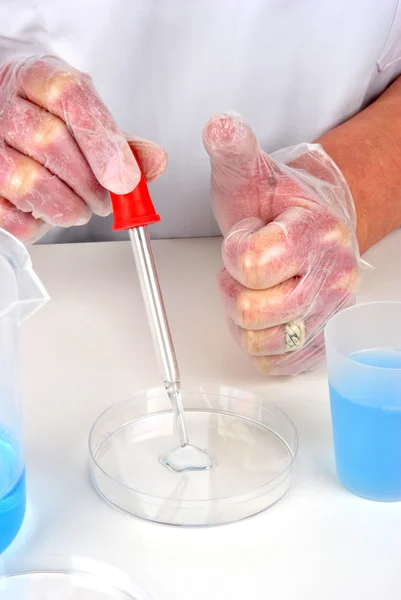 蓝色的液体和在实验室的培养皿 — 图库照片