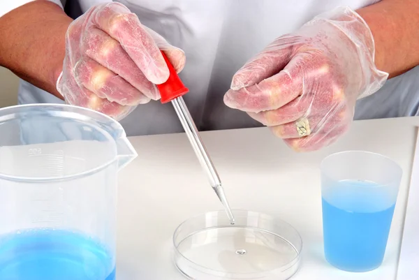 青色の液体と実験室でシャーレ — ストック写真