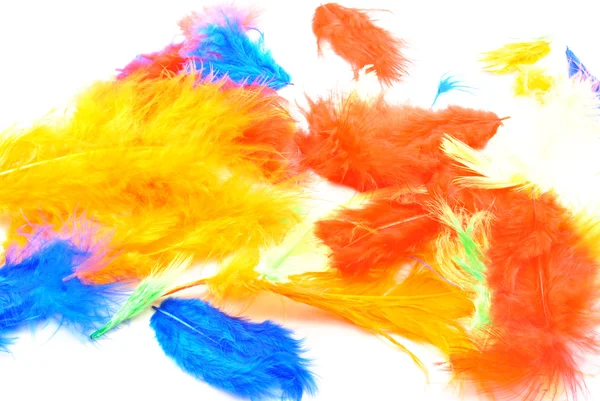 stock image Some coloured feathers ideal for easter decoration