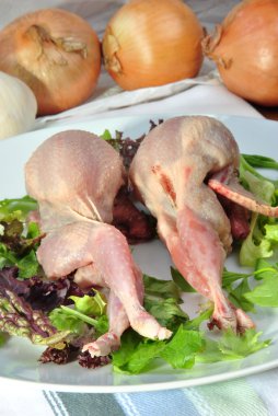 Two quails on a plate with salad clipart