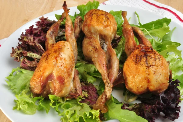 stock image Grilled quails on a plate with salad