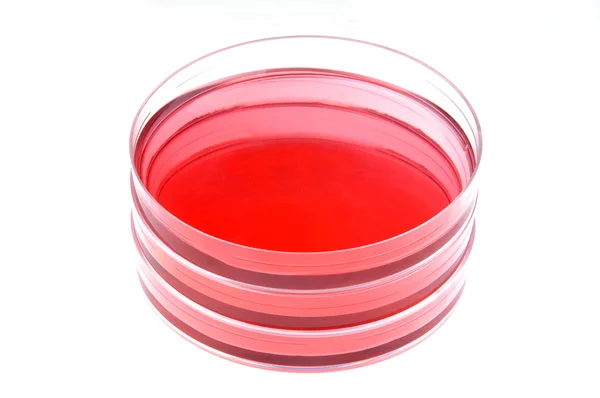 Красная жидкость и чашка Петри в лаборатории — стоковое фото