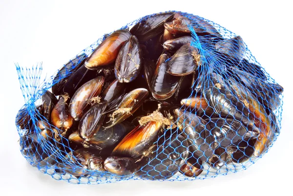 Some fresh organic mussel in a blue net — Stock Photo, Image