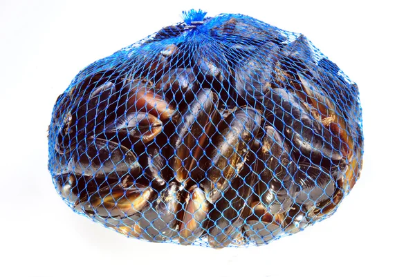 Bazı Taze Organik Midye Mavi Net — Stok fotoğraf