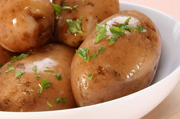 Boiled potatoes with parsley in a white bowl — Stock Photo, Image