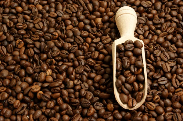 Čerstvé pražené kávové zrno — Stock fotografie
