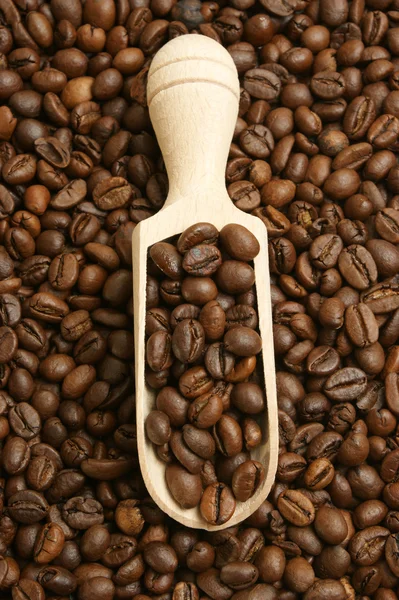 갓 볶은 커피 원두 — 스톡 사진